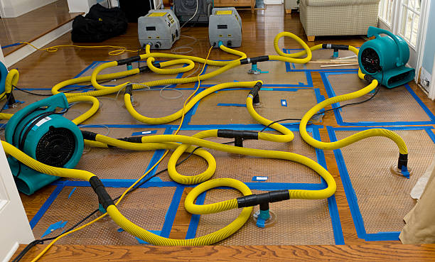 Professional Crawl Space Water Removal technician working in Gladstone, NJ